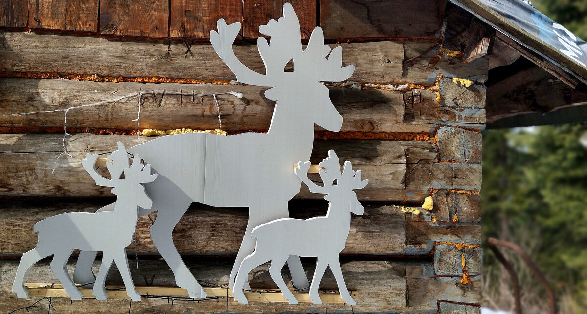 Олени - Радмир Арсеньев