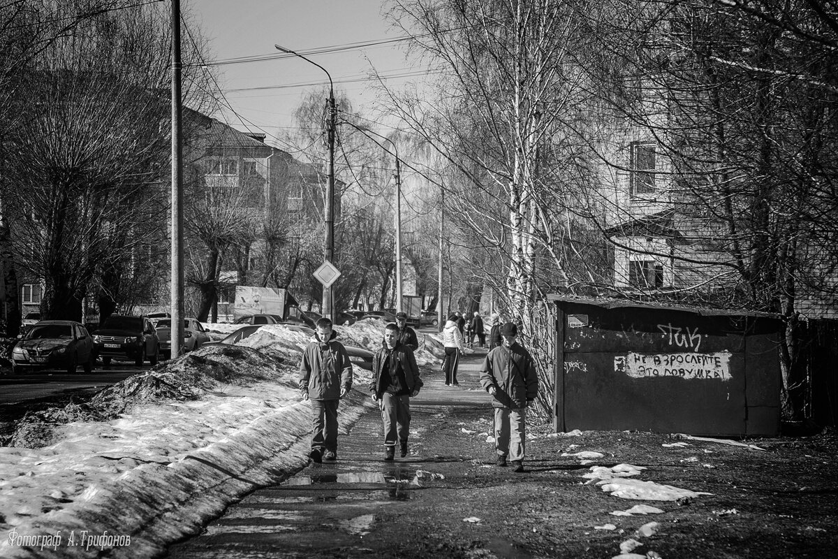 Не взрослейте, это ловушка - Алексей Трифонов Не взрослейте, это ловушка - Алексей Трифонов