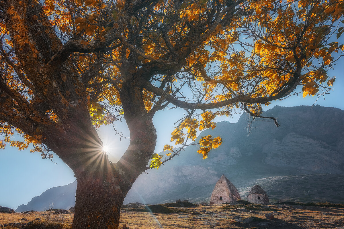 оберегающие вечность - Сергей Попрошаев