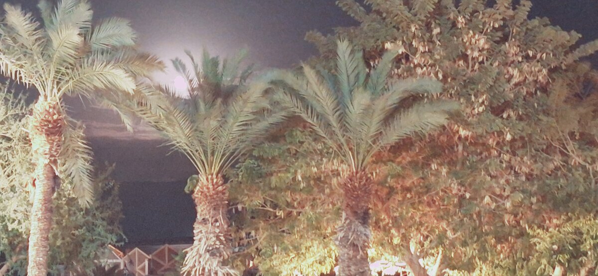 14  КЛОС (67) - СТРЕН 