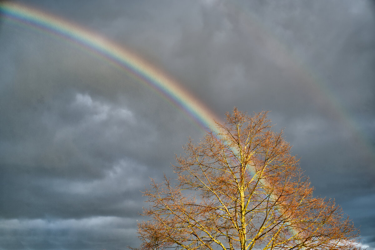 Радуга дуга, кусочек ... - Jakob Dick Радуга дуга, кусочек ... - Jakob Dick