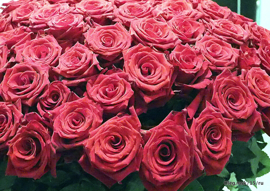 они на радость нам даны - Олег Лукьянов они на радость нам даны - Олег Лукьянов