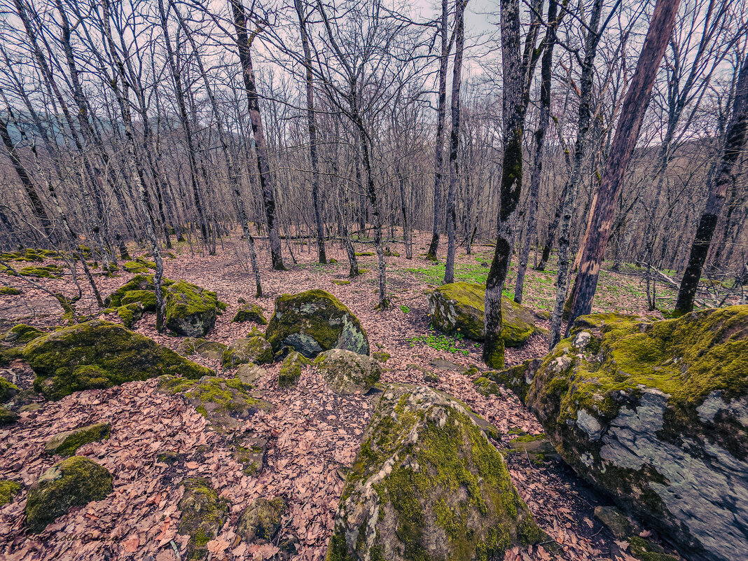 весна не везде - Ольга Косачова