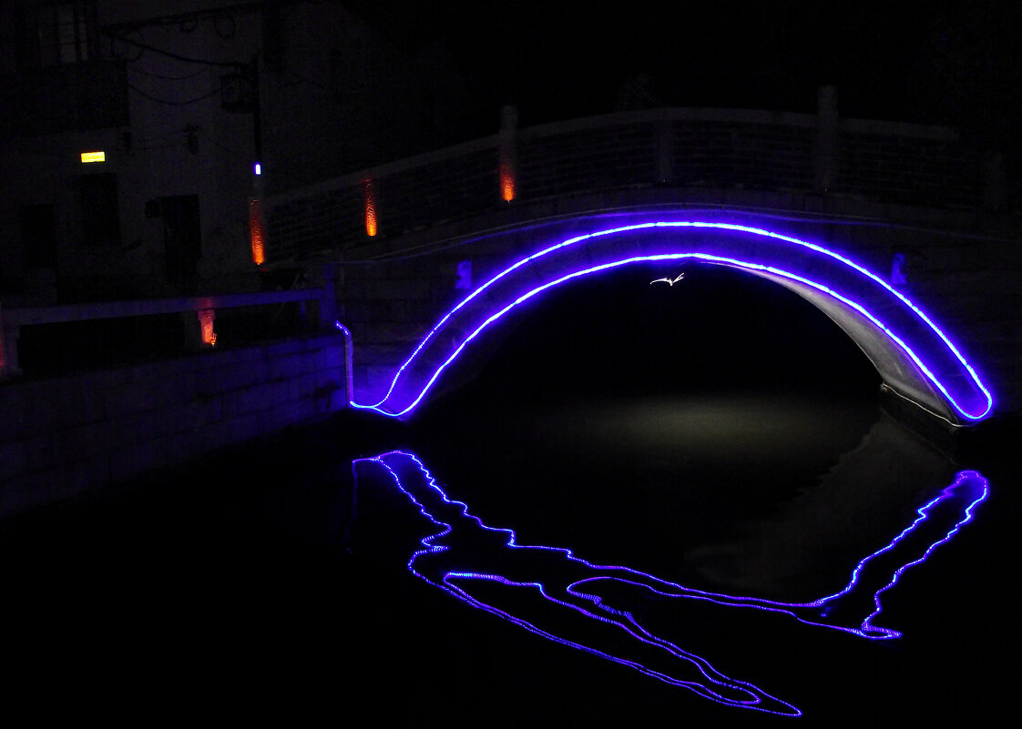 Пролёт летучей мыши под ночным мостом на реке Сучжоухэ - Elias 69