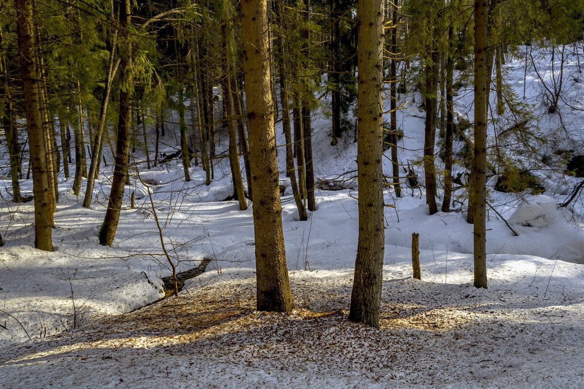 Кто тут насорил? - Сергей Цветков