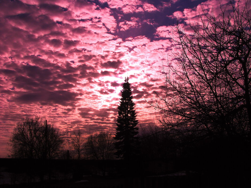 Красивый вечер - Людмила Смородинская Красивый вечер - Людмила Смородинская