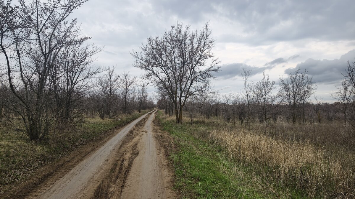 Дорога уходящая вдаль - Мариша Тим