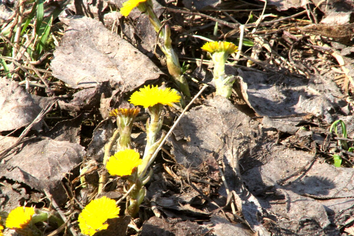 Прогулка по Яузе - олег свирский 