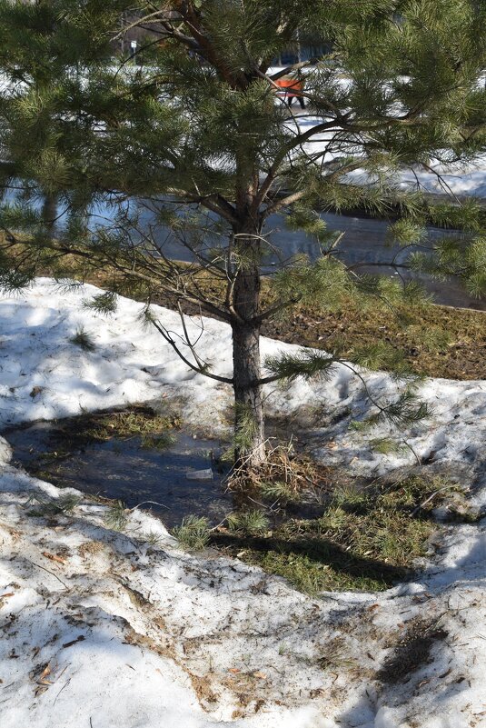 Весна - Олег 