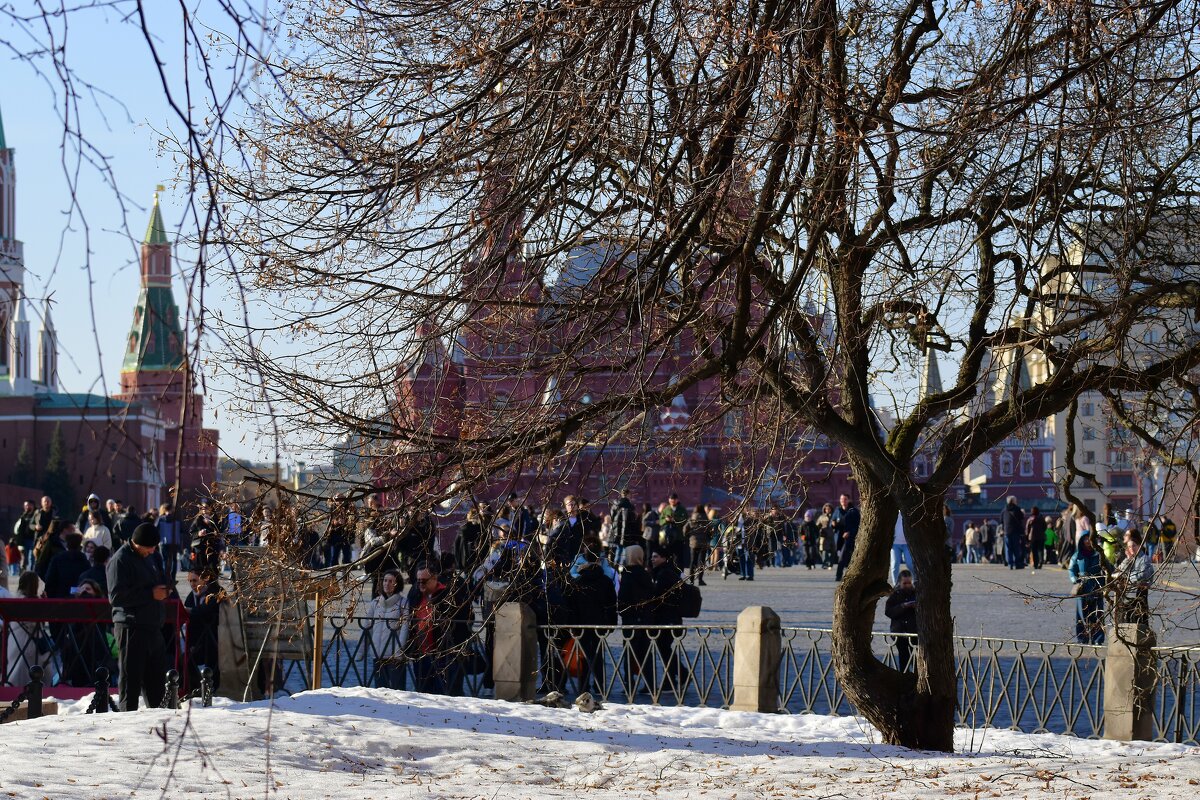 Красная площадь. Другой ракурс. - Наталья Вязигина