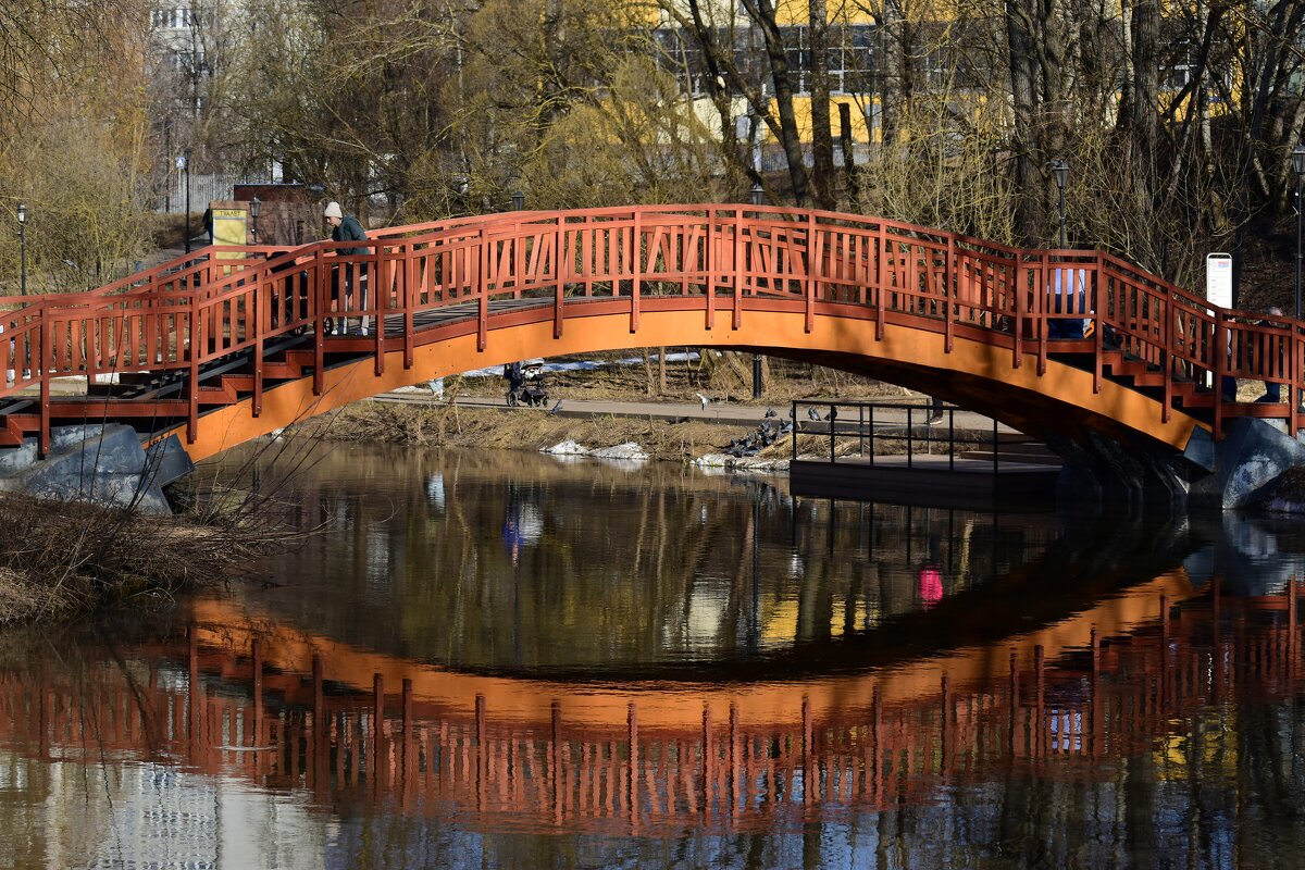 Отражение - Наталья Вязигина