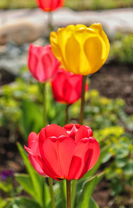 ... - Наталья 