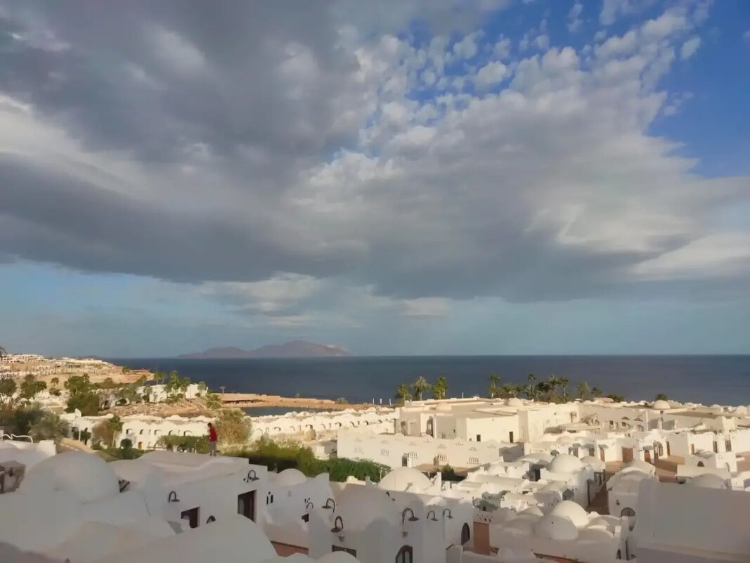 Египет. Шарм-эль-Шейх - Ирэн 