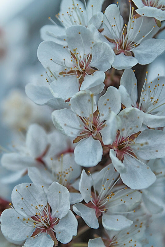 ... - Наталья 