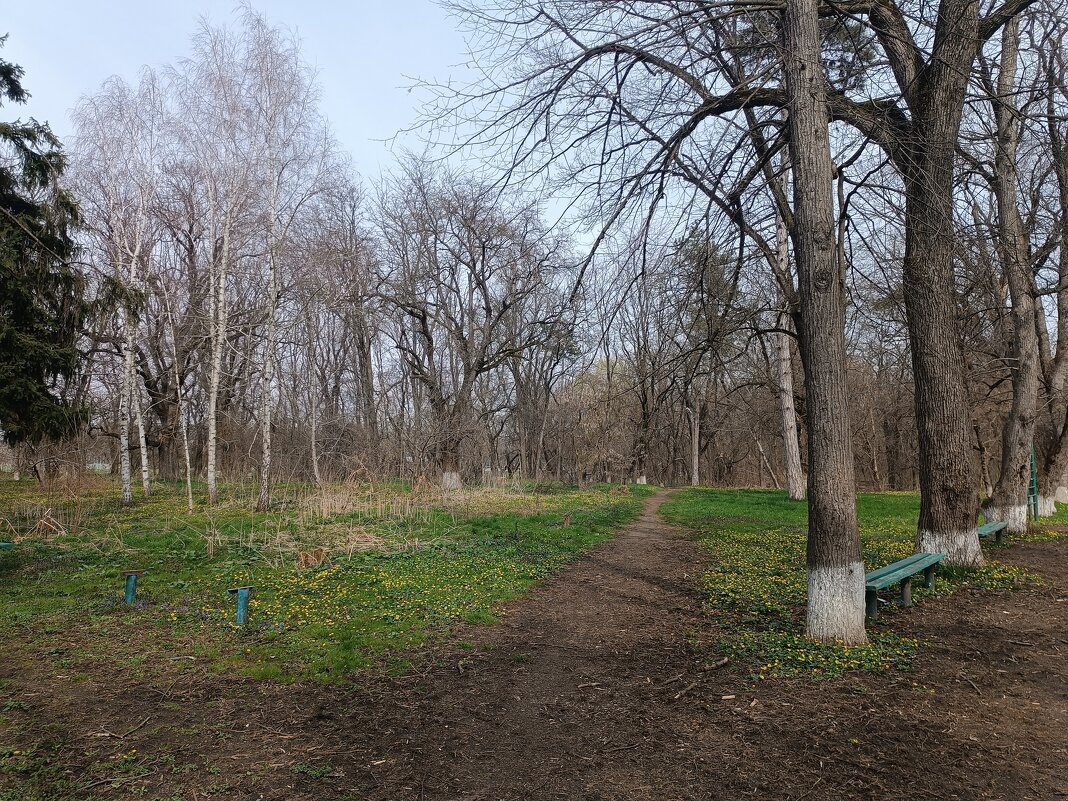 Весна уже  на всю красу - Слава Коломойцев