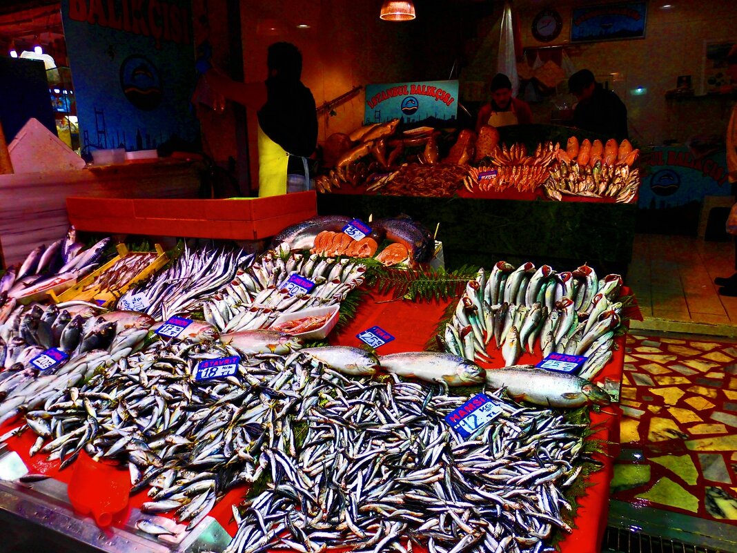 Стамбул - 82 - Артём Кузнецов