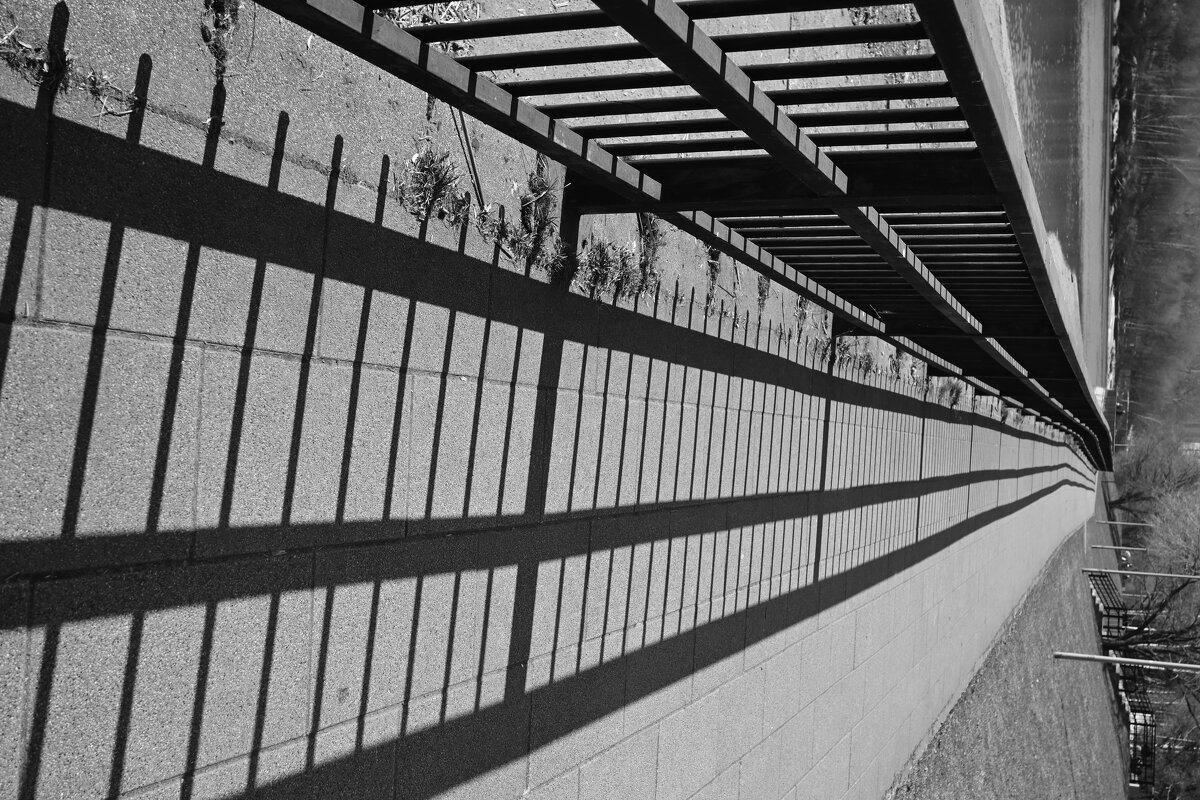 Дорога... - Митяй Митрич