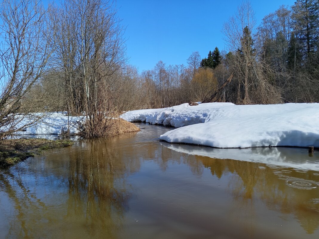 Солнечно и прекрасно на душе! - Алена 
