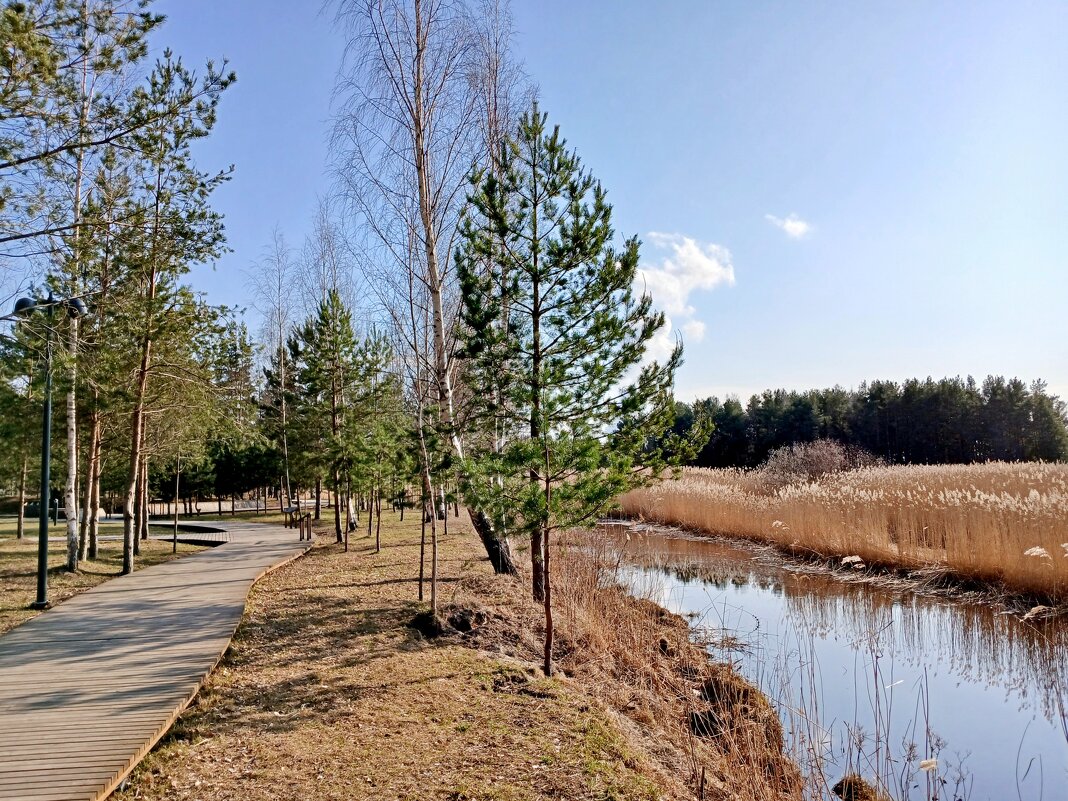 Из прогулок в марте - Лия ☼