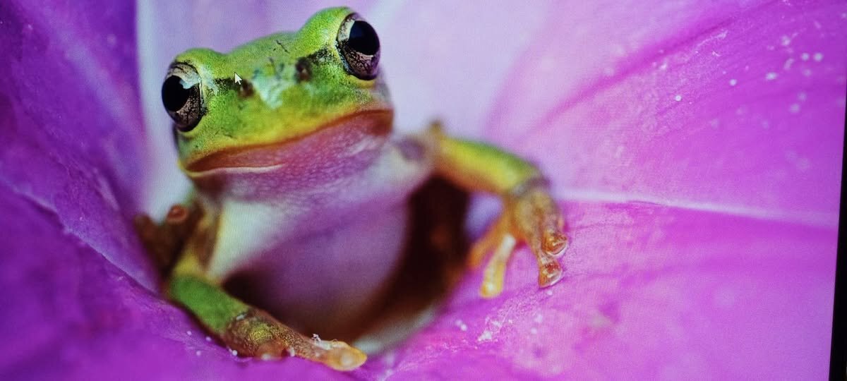 Цветочный пестик ! - Валерий Кокорев