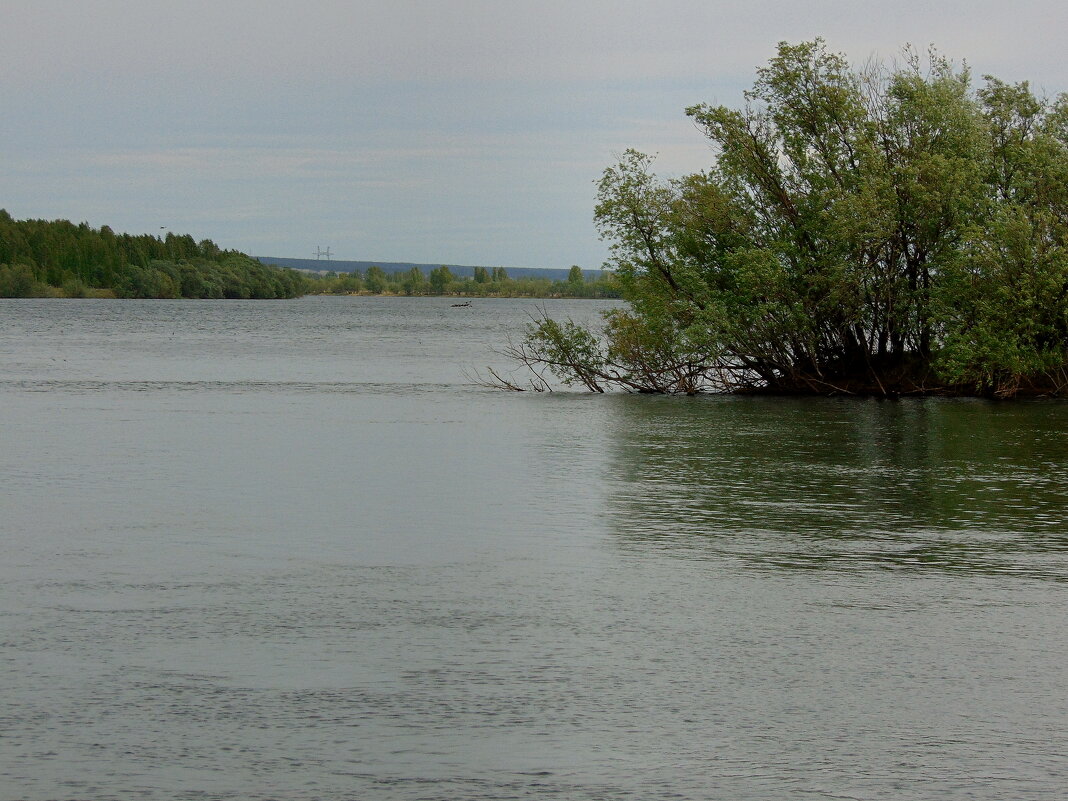 Большая вода. - nadyasilyuk Вознюк