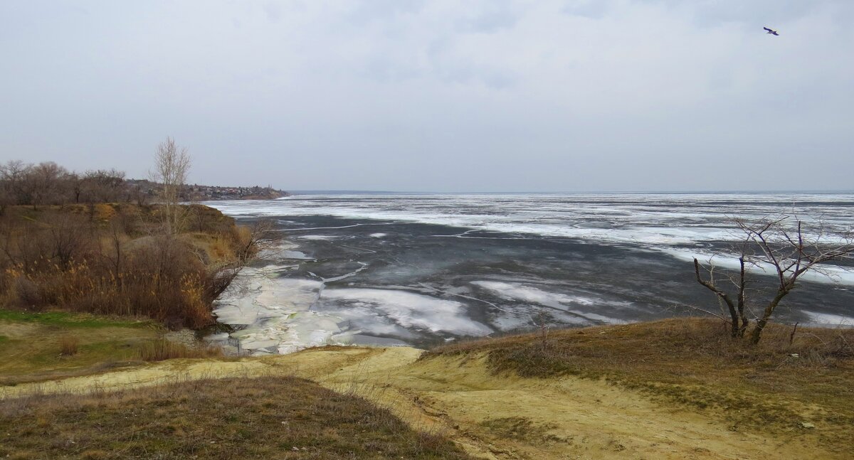 Пасмурный март - Natali 