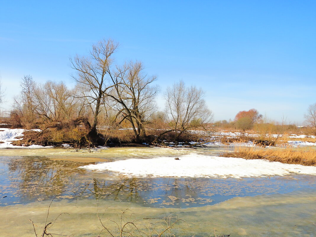 Последний лёд - Андрей Снегерёв