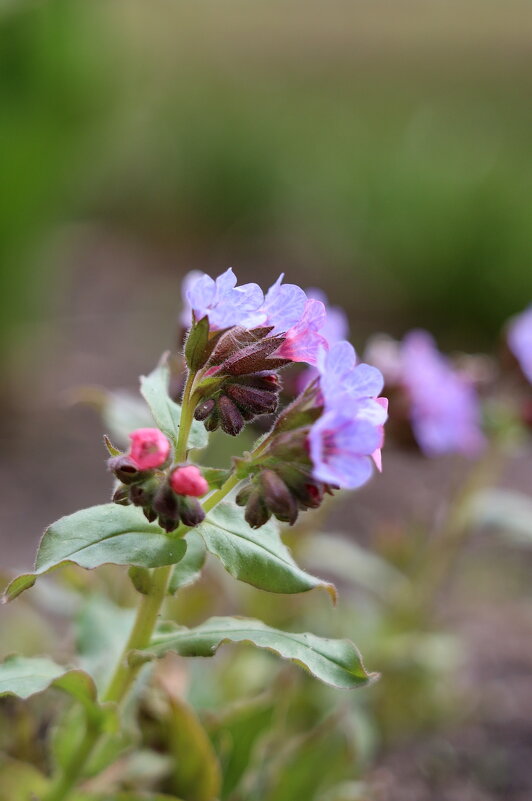 У реки. - Александр Кондаков