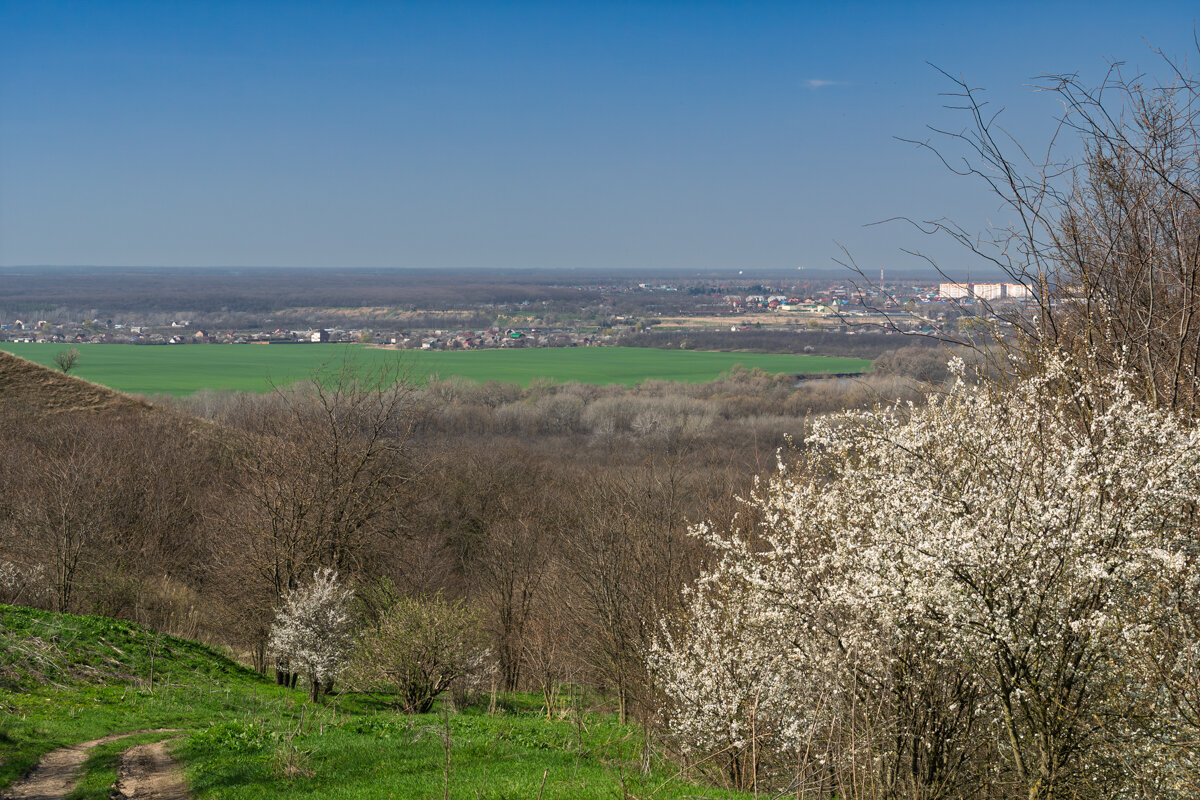 Окрестности города Армавир - Игорь Сикорский