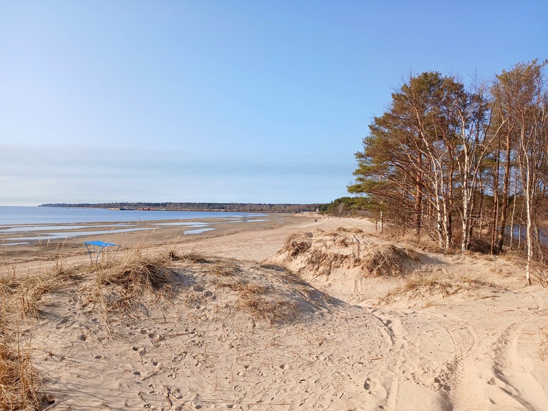 Дюны - Лия ☼