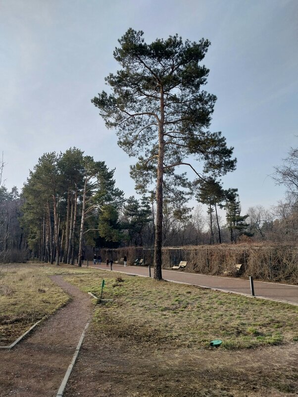 Ботанический сад. - Murat Bukaev 