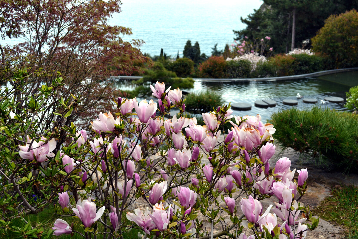 В японском саду - Ольга 
