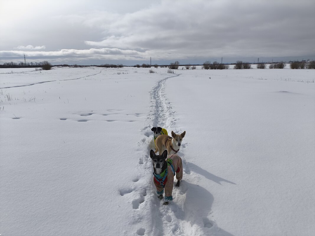 Прогулка - Anna Ivanova