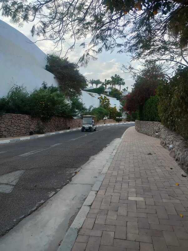 Египет. Шарм-эль-Шейх - Ирэн 