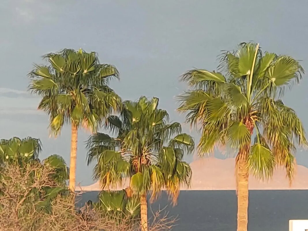 Египет. Шарм-эль-Шейх - Ирэн 