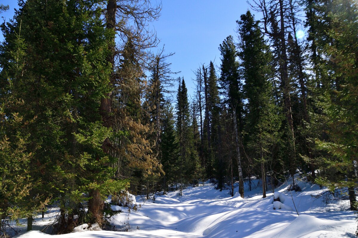 - - Владимир Мигонькин