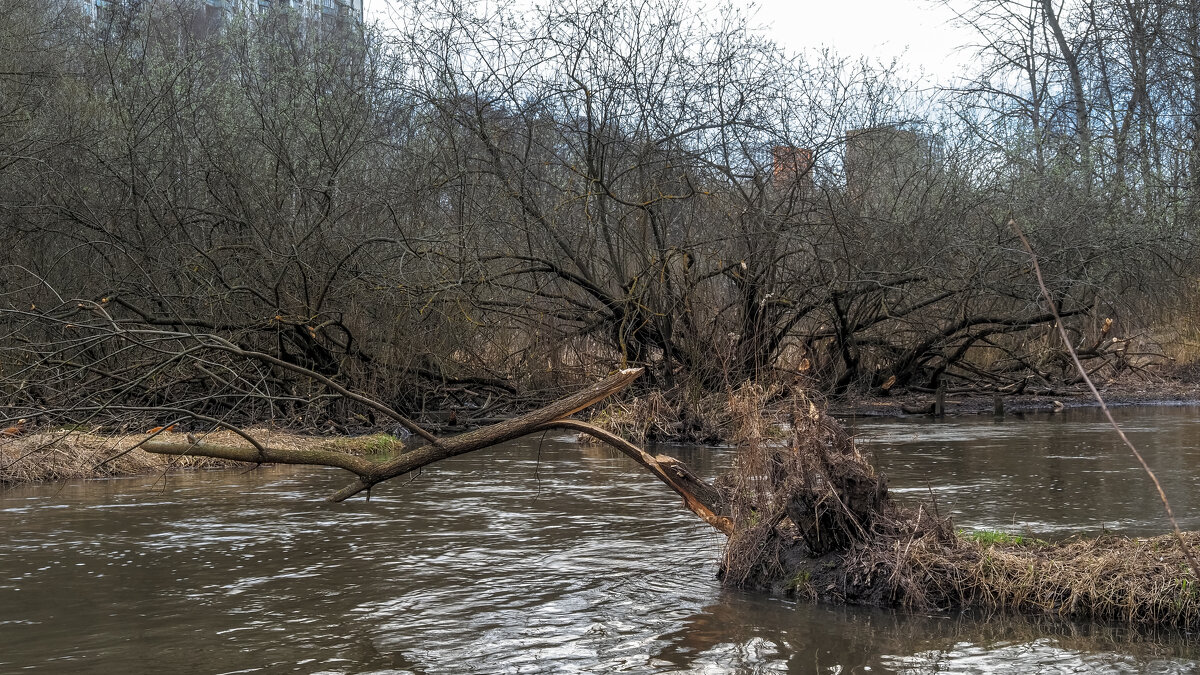 Весенняя Речушка - юрий поляков