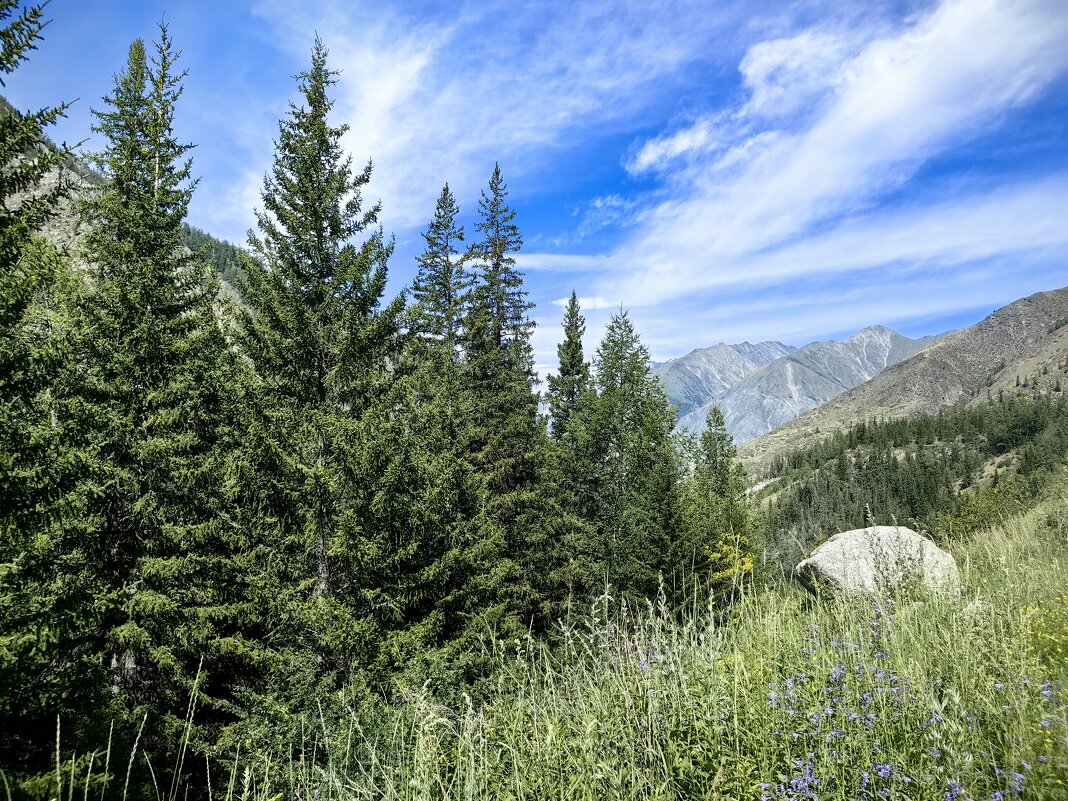 В горах Алтая - Галина Козлова 