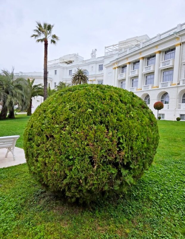 СОЧИ - Tata Wolf