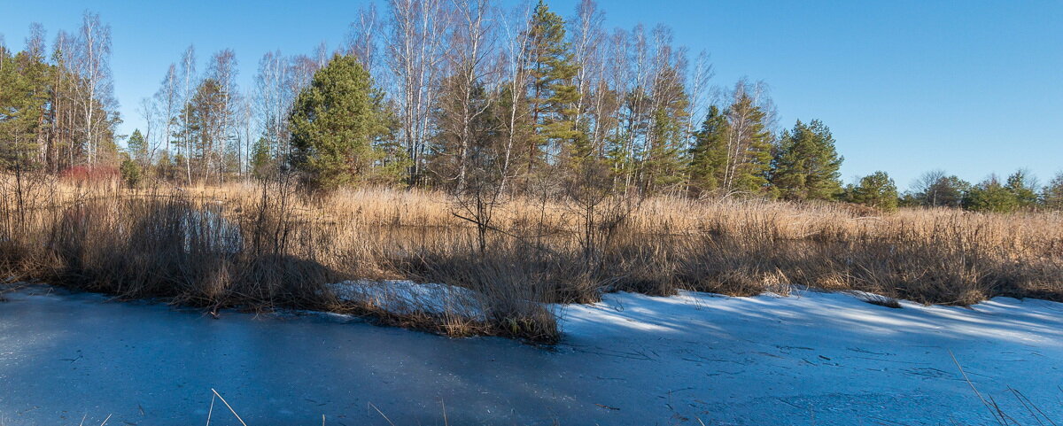 *** - Геннадий Порохов