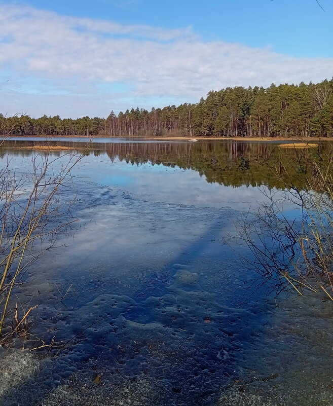 Апрельские фотозарисовки . .. - Татьян@ Ивановна