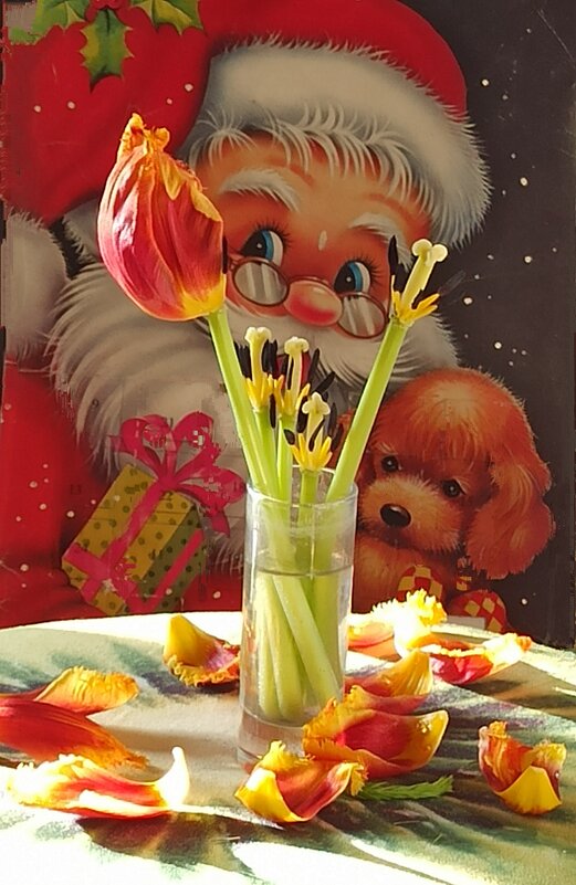 Прощание - veilins veilins