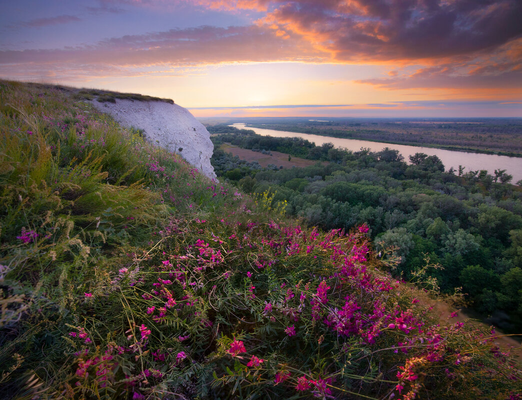 Донской парк - Сергей Попрошаев