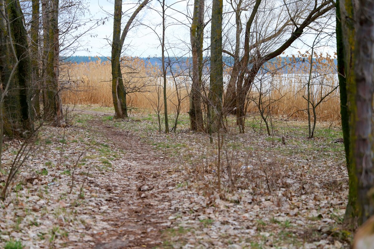 *** - Андрей Л. В.