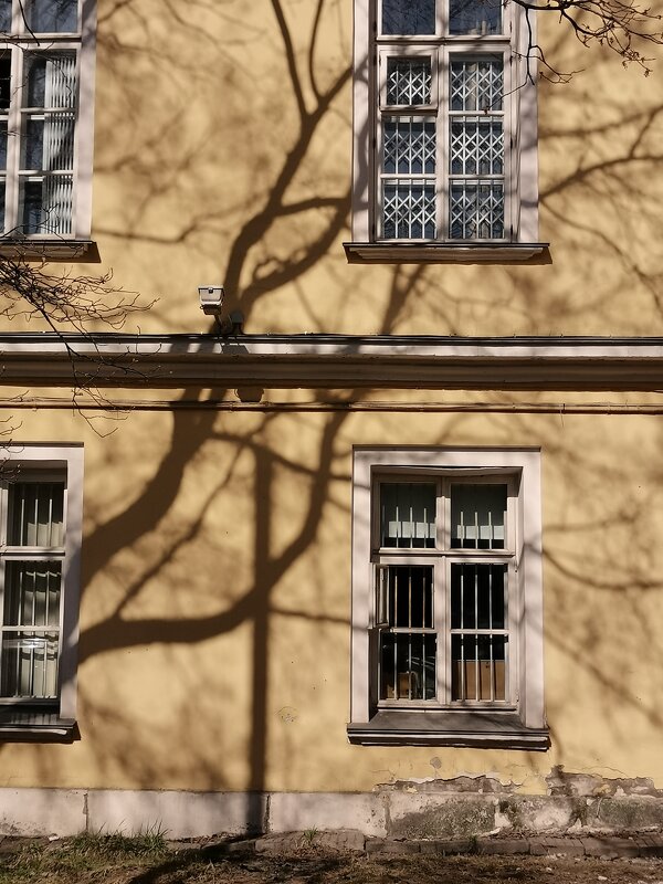 Тени - Любимова Ольга 