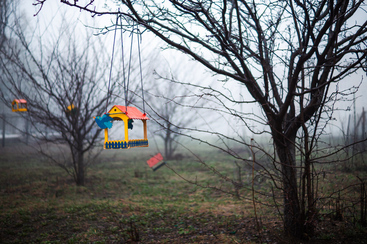 Апрель. Весна 2026 - Сергей В