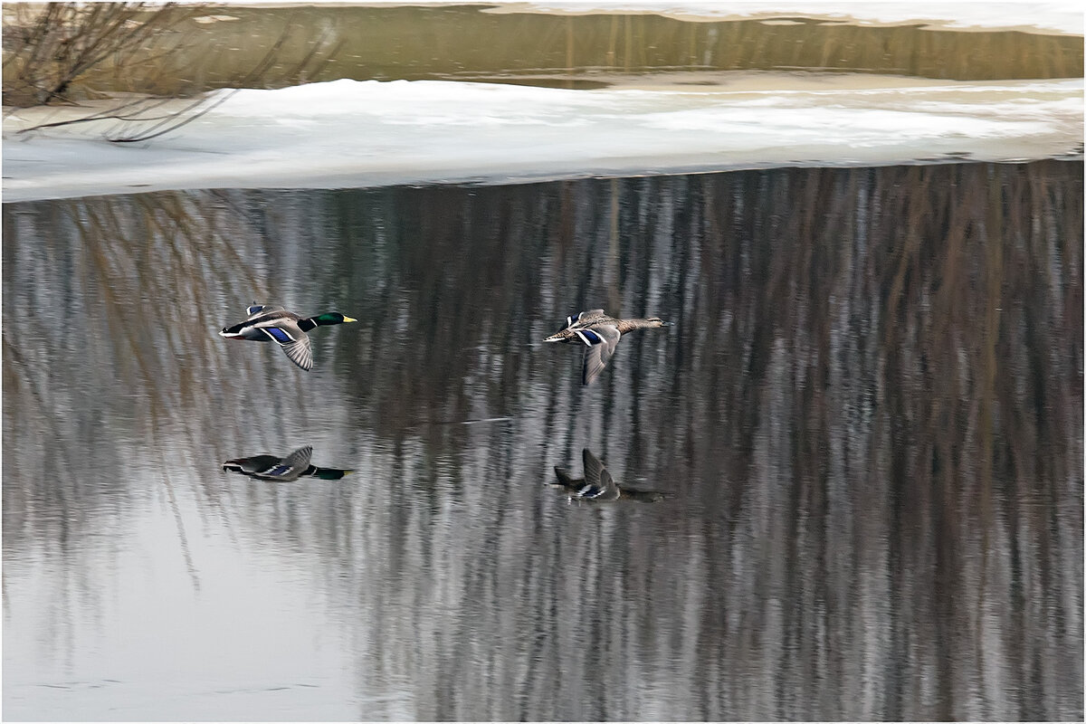 На бреющем - Валентин Котляров