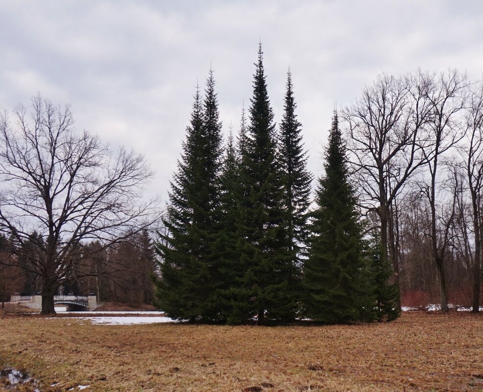 Весёлый хоровод - Nataly St. 