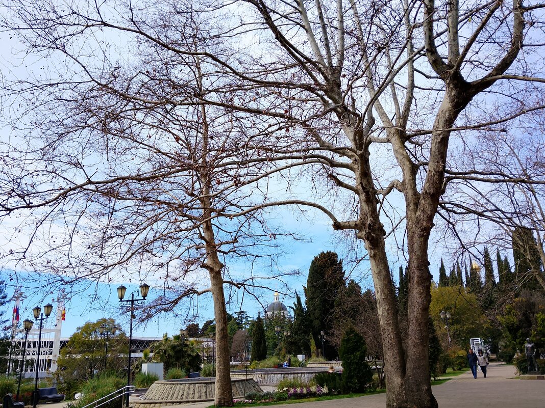 МАРТ - Tata Wolf