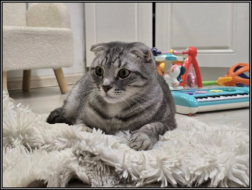 Наблюдатель - Ольга Довженко